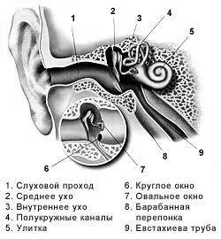 біль у вусі