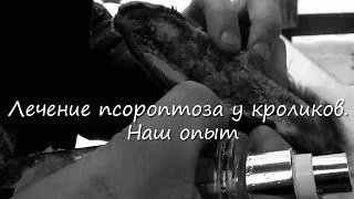короста