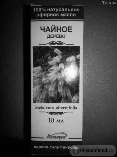 як вивести папіломи маслом чайного дерева