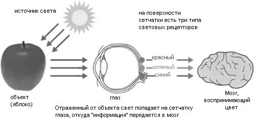 симптоми