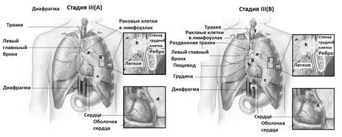 прогноз