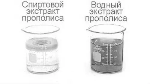 лікування вуха алое