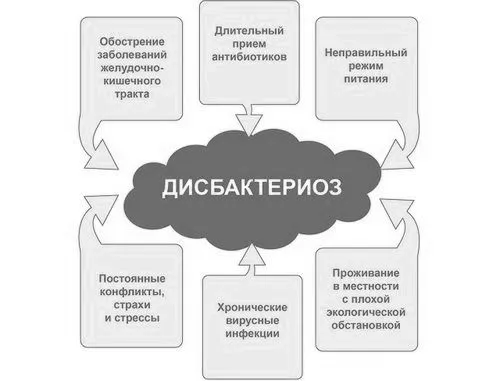 кишечника