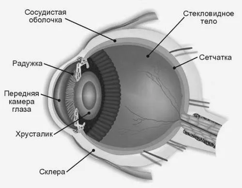 вікова