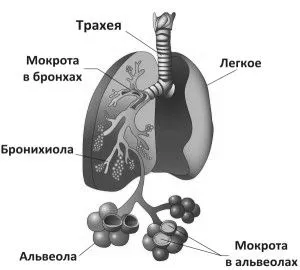 вилікувати