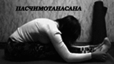 Йога при застуді yogabodylanguage йога користь