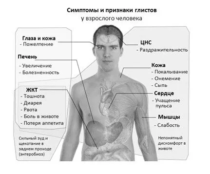 людини
