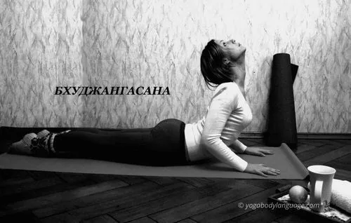 Йога при застуді yogabodylanguage йога від застуди