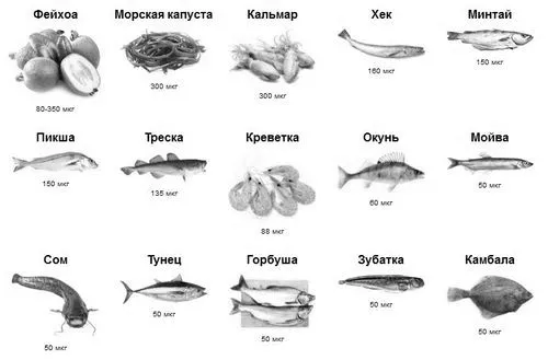 людини