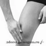 суглоб