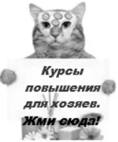 хламідіоз кішок небезпечний для людини