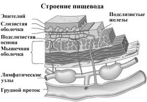діагностика
