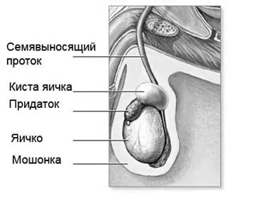 будь здоровим