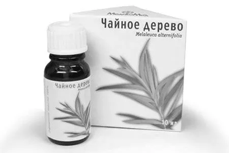 домашніх