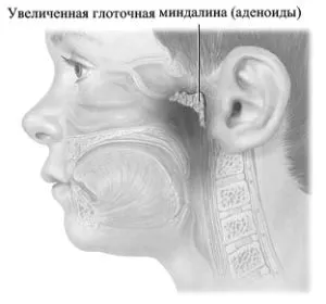 ступеня