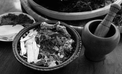 Денний стаціонар народними засобами: симптоми захворювання, ніж лікувати? болять нирки як лікувати народними засобами