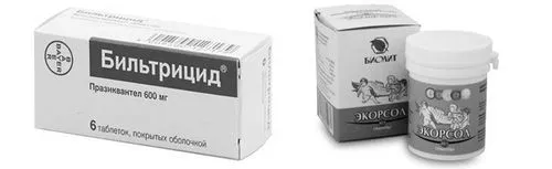 дорослих