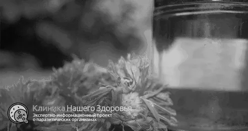 опісторхозу