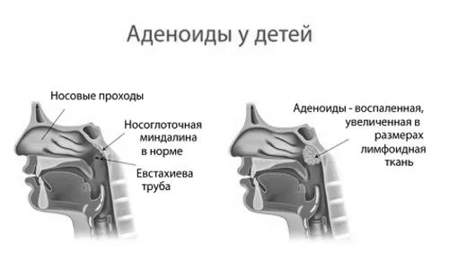 домашніх