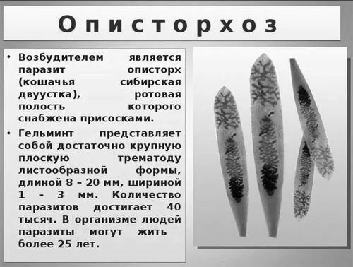 умовах