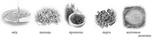 лікується