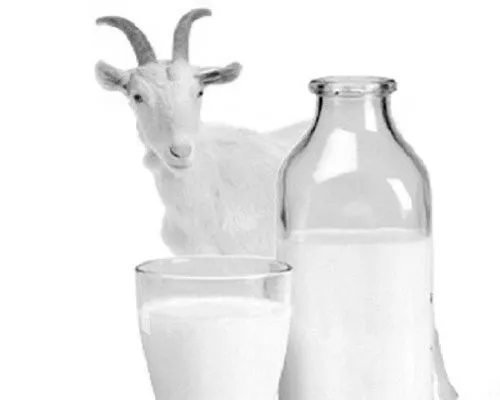 чи можна пити молоко і молочні продукти при гастриті