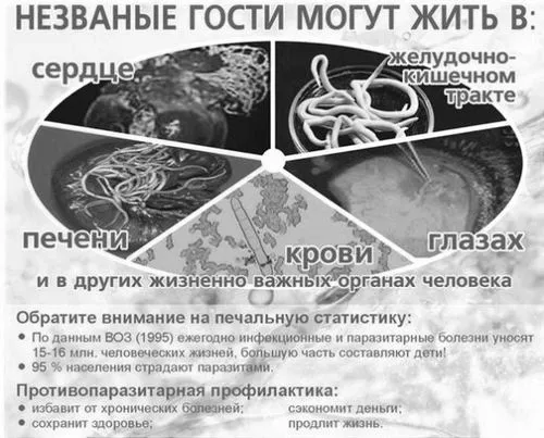 глистів