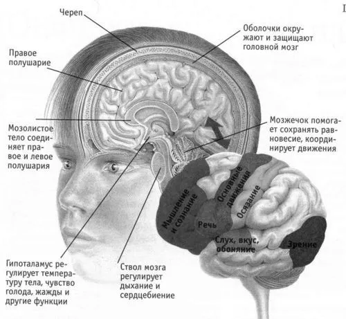 як лікувати невралгію голови