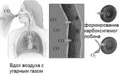 чадним