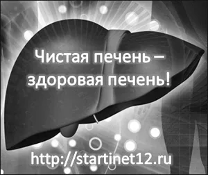Очищення печінки в домашніх умовах очищення
