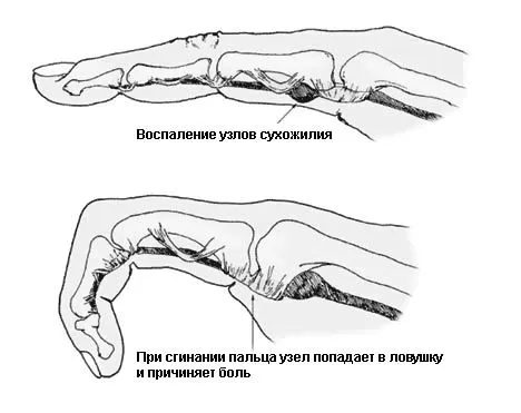 пальців
