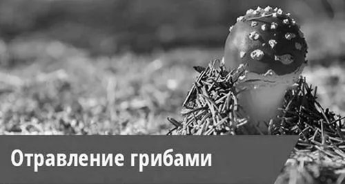 як лікувати отруєння грибами
