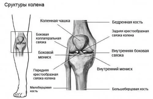 набрякають коліна
