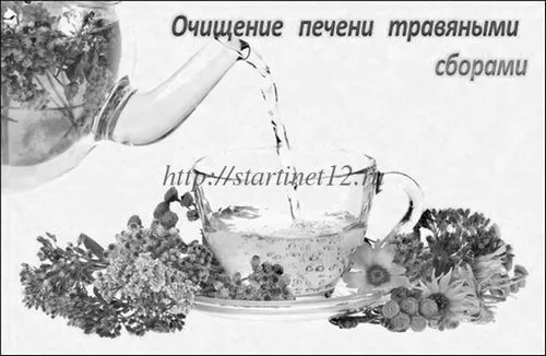 Очищення печінки в домашніх умовах очищення