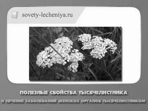 властивості