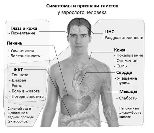 паразити в печінці людини