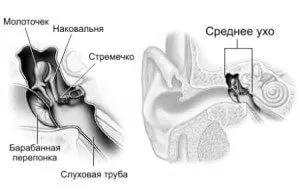 середнього