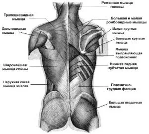 робити