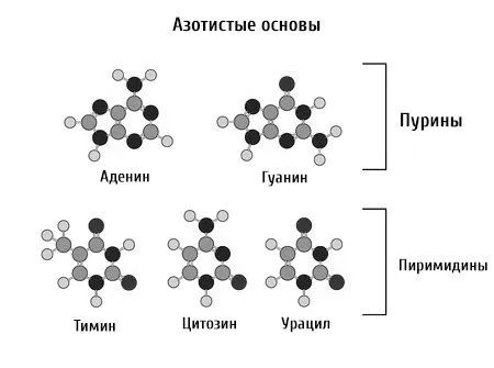Сольовий діатез: причини, симптоми, діагностика, лікування причини