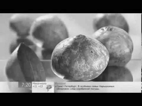умовах
