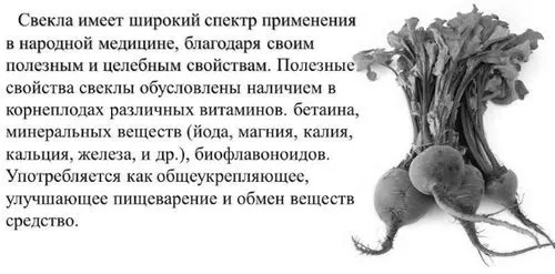 Буряковий відвар: для чищення печінки, схуднення, користь і протипоказання печінки