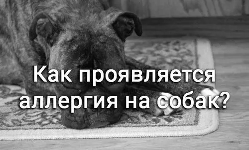 симптоми