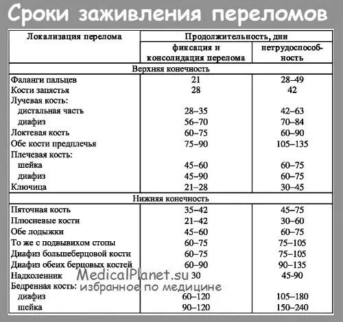 Терміни загоєння переломів кісток терміни загоєння переломів кісток