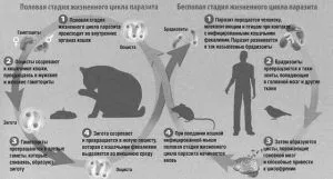 лікування
