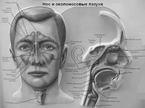 гаймориту
