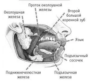 як лікувати лімфовузли під язиком