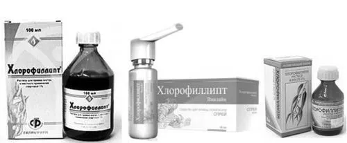 Хлорофіліпт для горла: інструкція із застосування для дітей як лікувати горло дитині хлорофіліпту