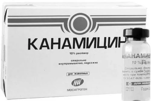 кашель