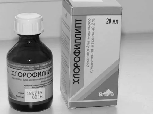 Хлорофіліпт для горла: інструкція із застосування для дітей як лікувати горло дитині хлорофіліпту