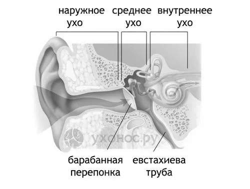 препарати